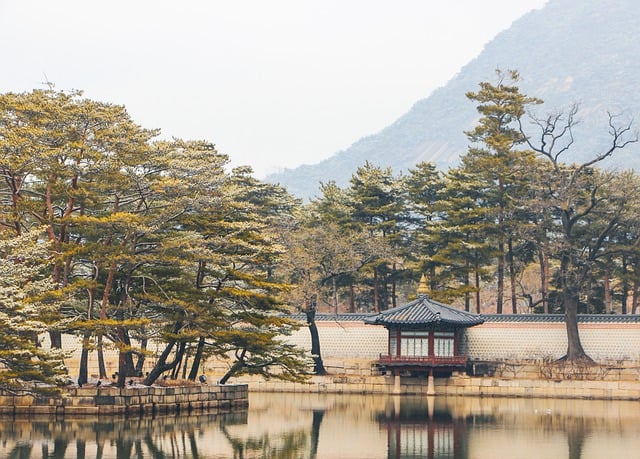 조선 왕조실록 제작 과정과 그 가치 알아보기