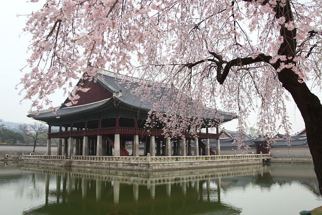 사림과 훈구의 정치 대립 이해하기
